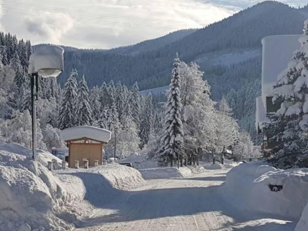 Apartment Holiday Lungoetz Annaberg im Lammertal Bagian luar foto