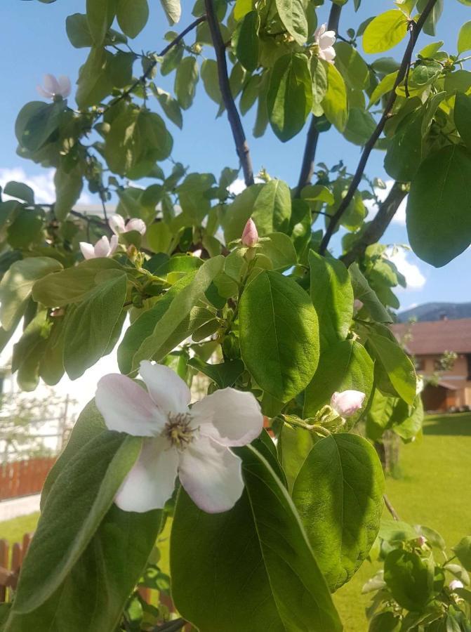 Apartment Holiday Lungoetz Annaberg im Lammertal Bagian luar foto